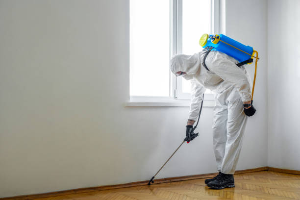 Reliable Burbank, CA Pest Control Solutions